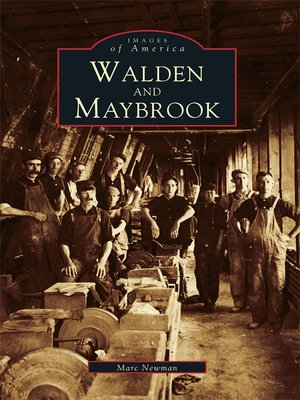 cover image of Walden and Maybrook